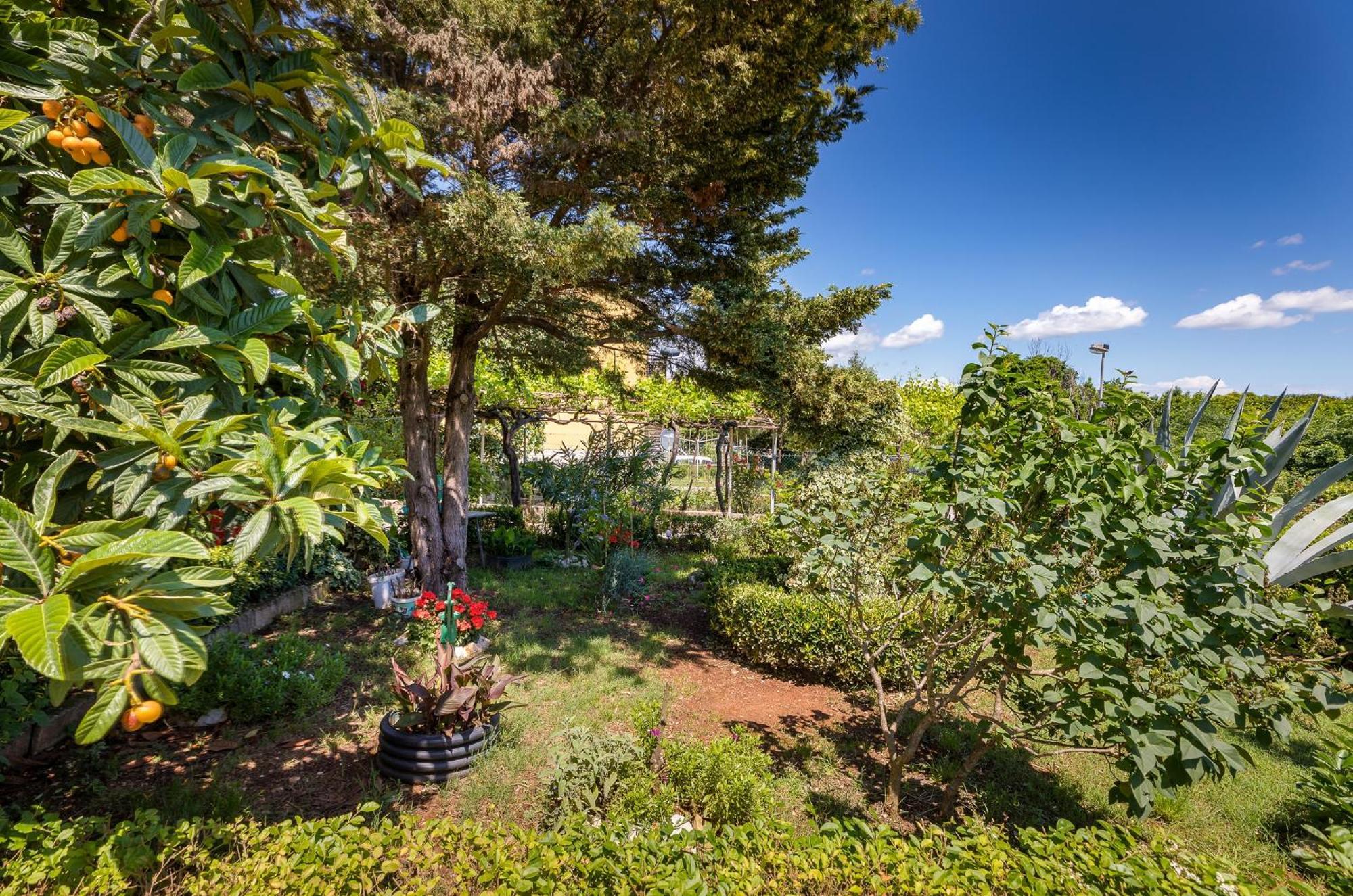 PUY Apartment Milena מראה חיצוני תמונה